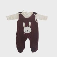 Bordo